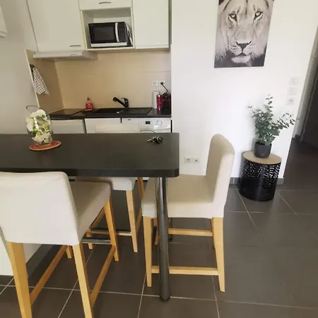 Avec Terrasse شقة مونبيلييه